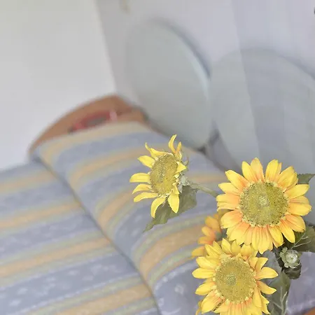 Memo Hotel Cesenatico