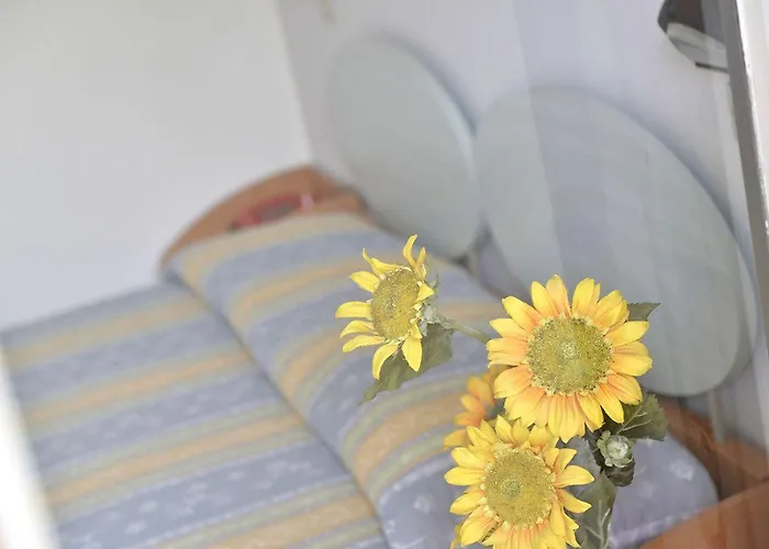 Memo Hotell Cesenatico